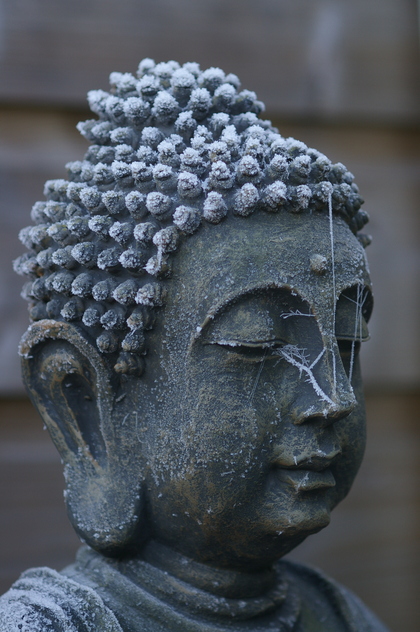 Boeddha met ijskristallen