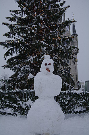 Sneeuwman op de markt