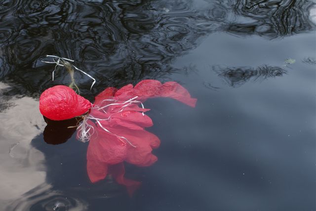 Valentijnsdag ballonnen