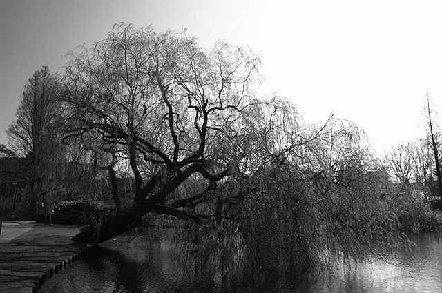 Van Bergen IJzendoornpark