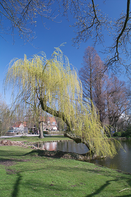 Van Bergen IJzendoornpark