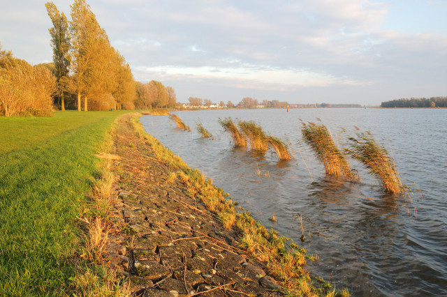 Oude_Maas_img_1097