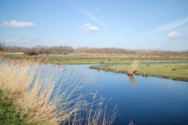 Polders_en_Hout_img_2246