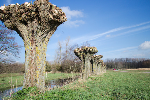 Polders_en_Hout_img_2249