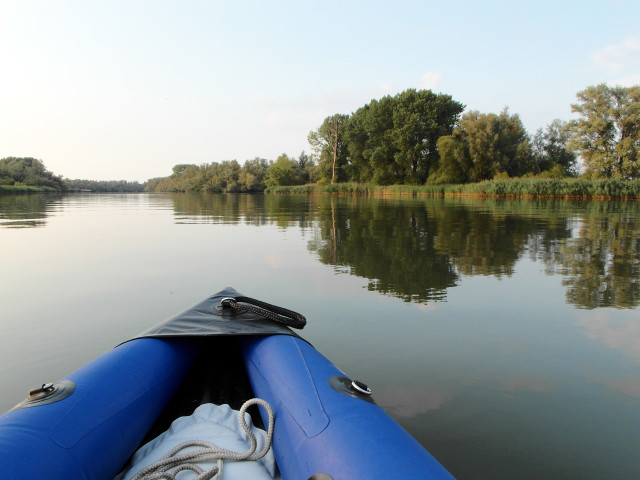 Biesbosch_sam_3734