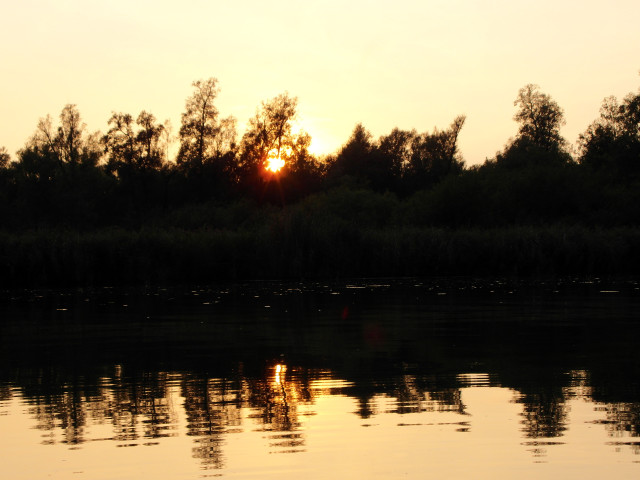 Biesbosch_sam_3743