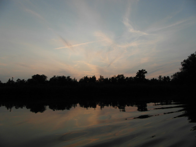 Biesbosch_sam_3753